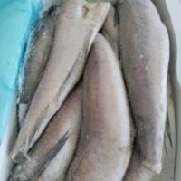 Box of Whitening Fish