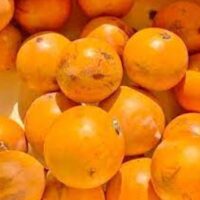 Agbalumo 10 Pieces