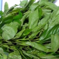 Ewedu (Jute Leaf)